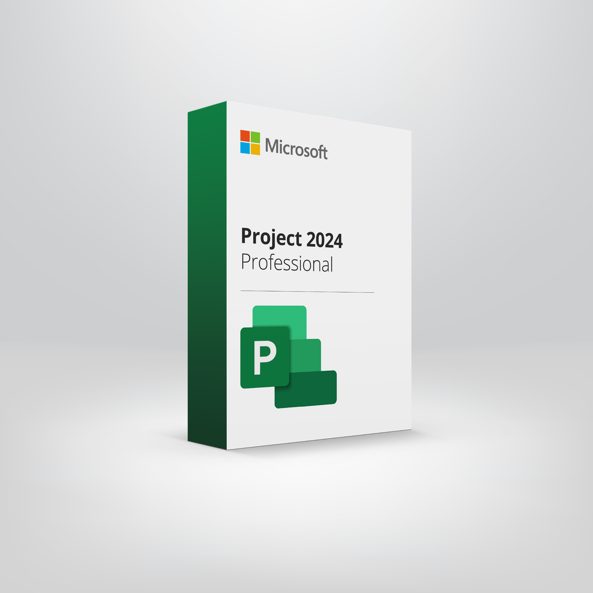 Project Professional 2024