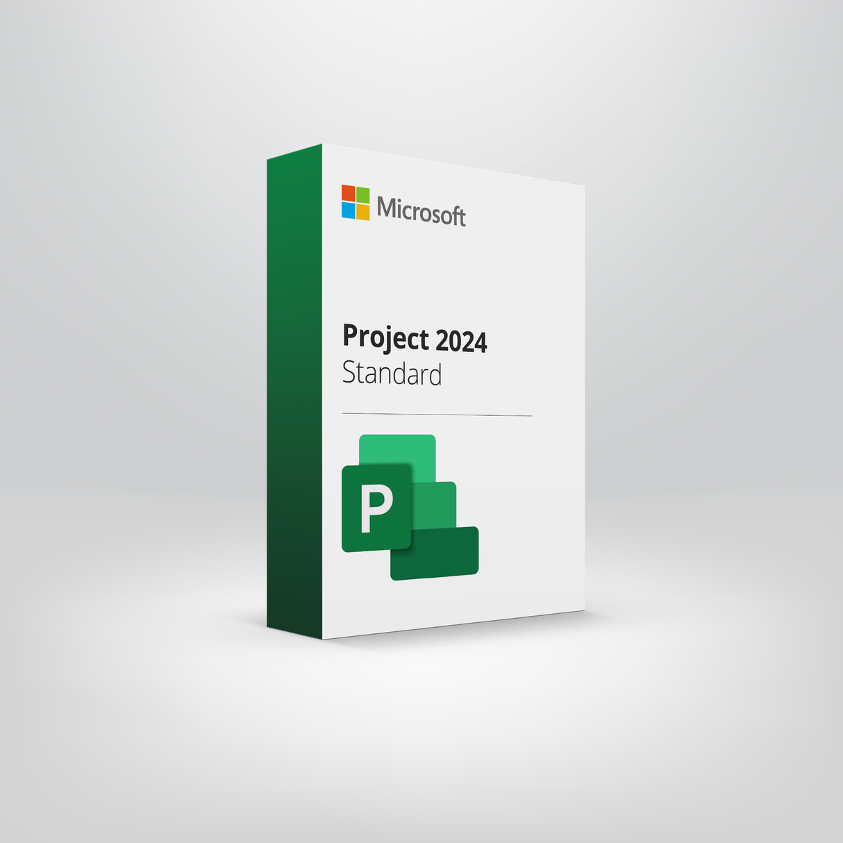 Project Standard 2024 "Licencia Perpetua 100% original"