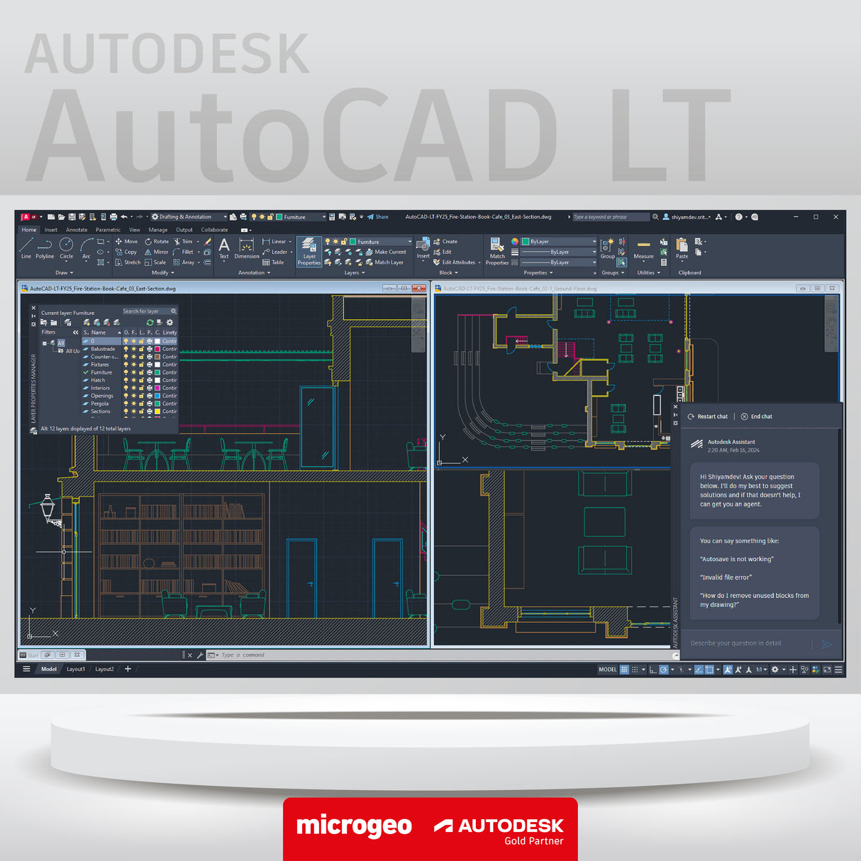 AutoCAD LT 2025 - 3 años