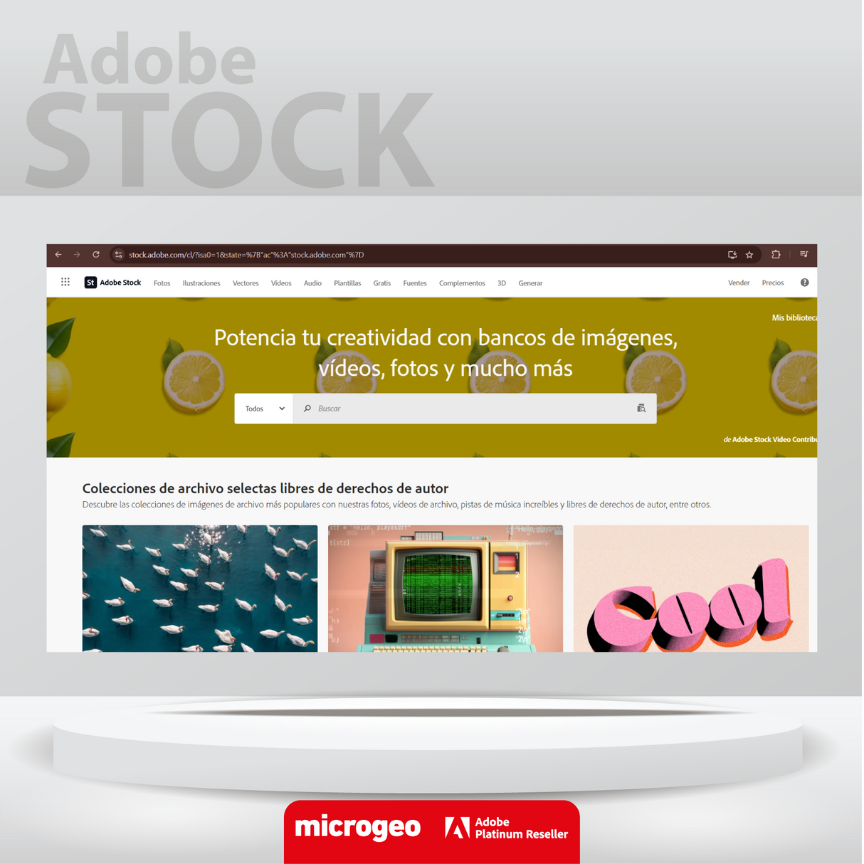 Adobe Stock /  for teams (Small) / Suscripción Anual 1 Usuario